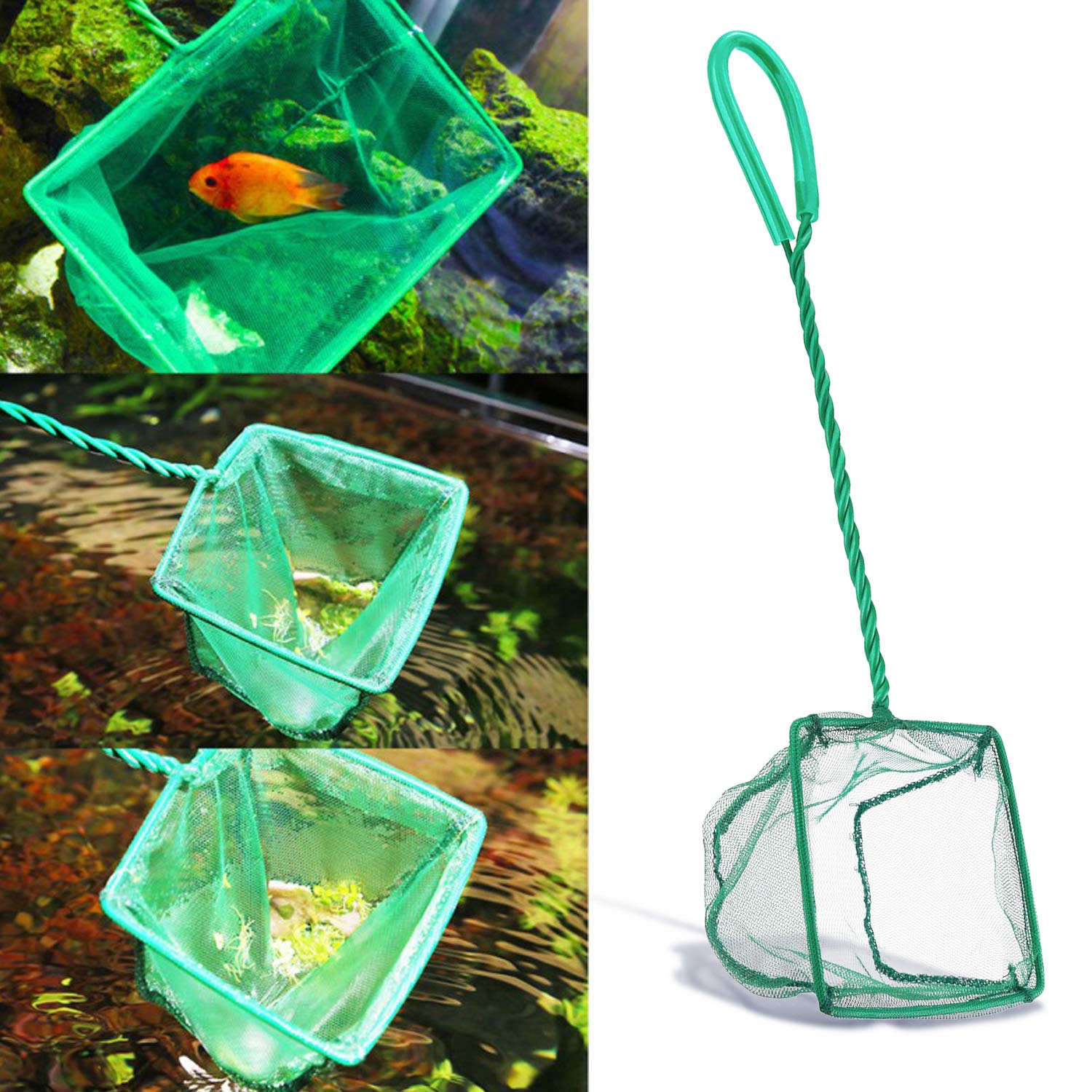 DSSPORT 4-inch size label image communicates compact size for confined aquariums.