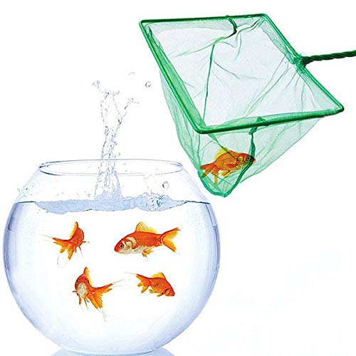 DSSPORT in-use green net during aquarium maintenance demonstrates safe fish handling.