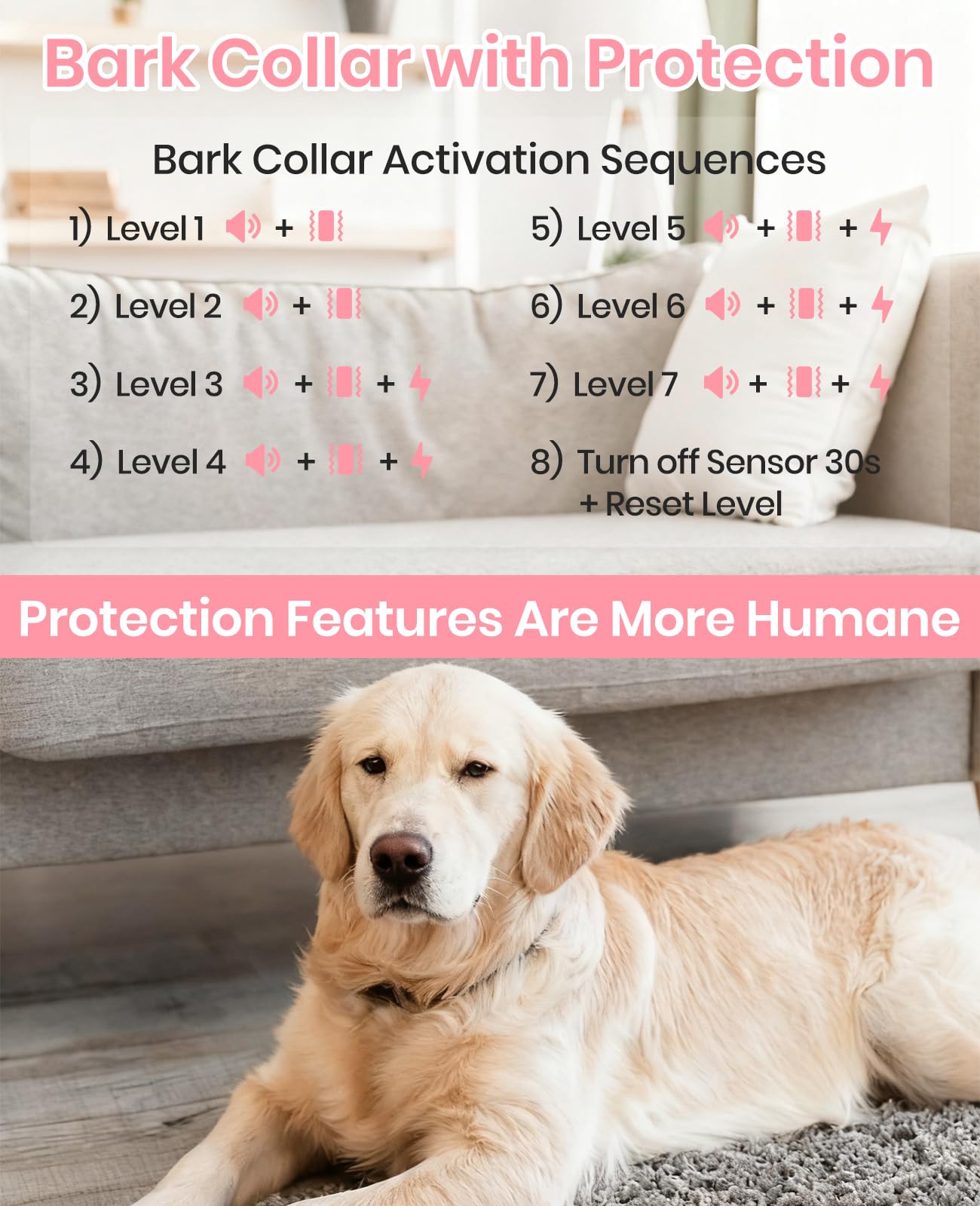 DTCollar 3-channel design lets you train three dogs with one system