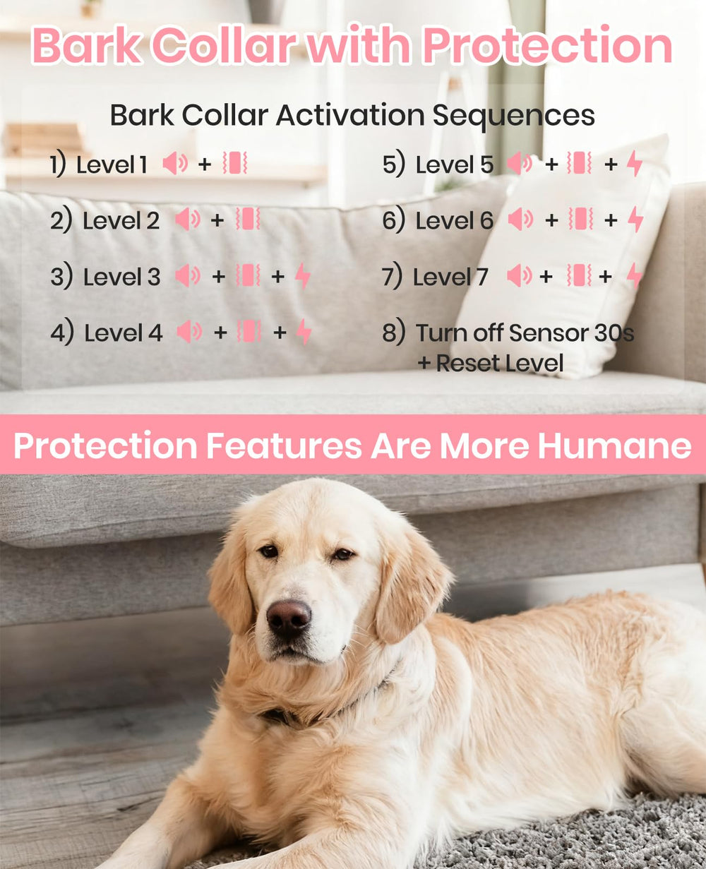 DTCollar adjustable strap fits small to large dogs for comfortable all-day wear.