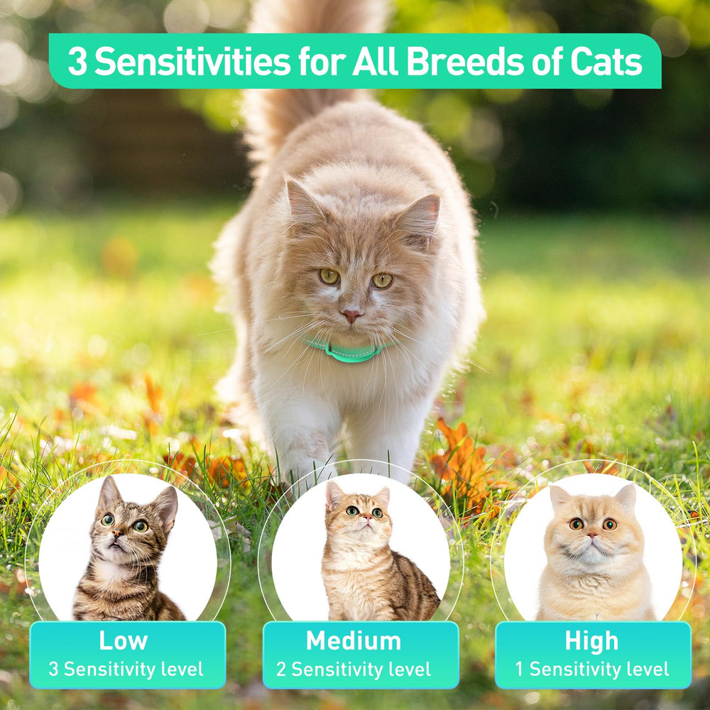 DTCollar AI sensitivity levels adapt to short and long meows for accurate detection.
