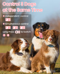 DTCollar bark-detection with five sensitivity levels helps reduce false triggers.