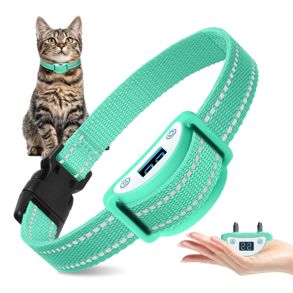 DTCollar mini cat shock collar on cat, compact fit for small cats and discreet wear.