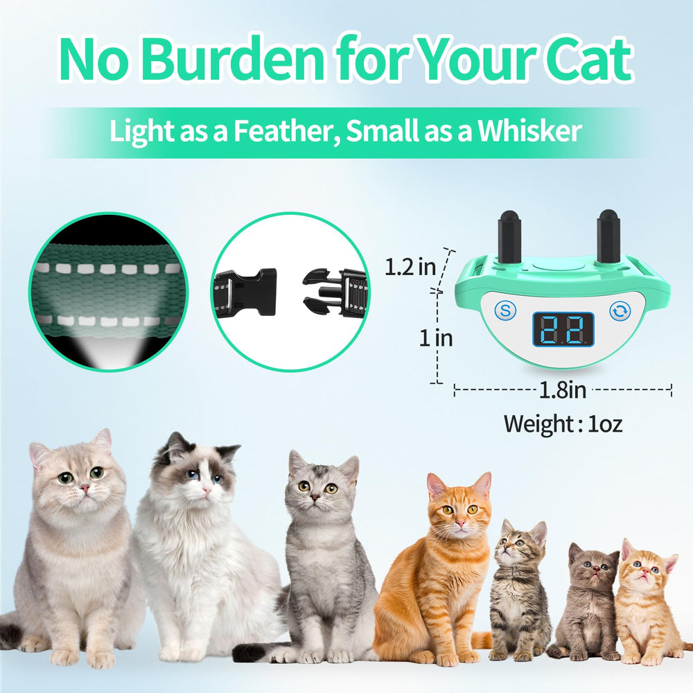 DTCollar 2-hour quick charge and up to 30 days use.