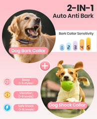 DTCollar shock-beep-vibration mode showcased for versatile dog training sessions.