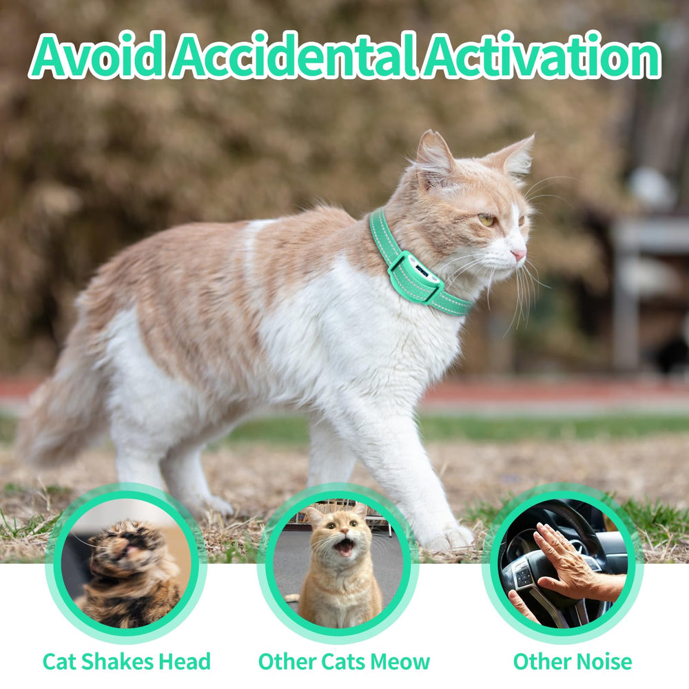 DTCollar multi-mode training delivers beep, vibration, and humane options.