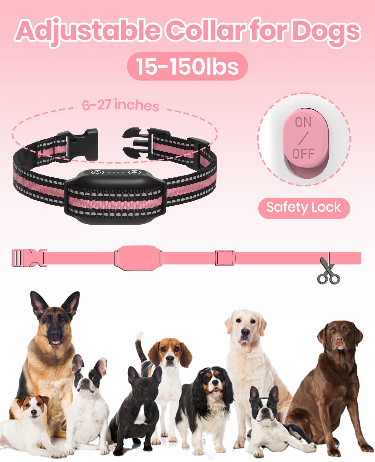 DTCollar compact two-pack trainer for multi-dog households.