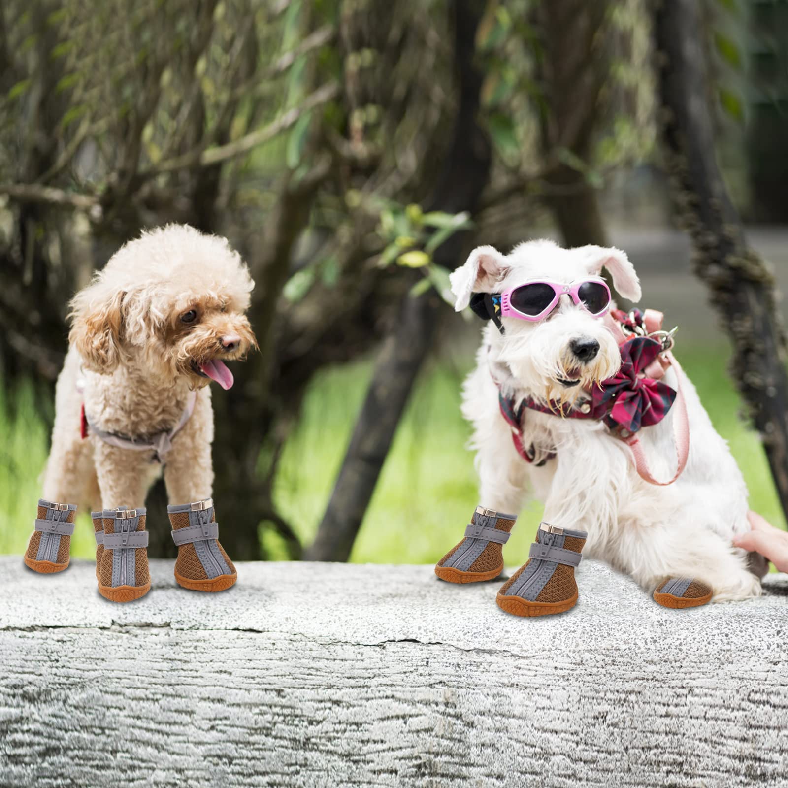 dtyxpet dog shoes size chart for small-dog fit and comfort.