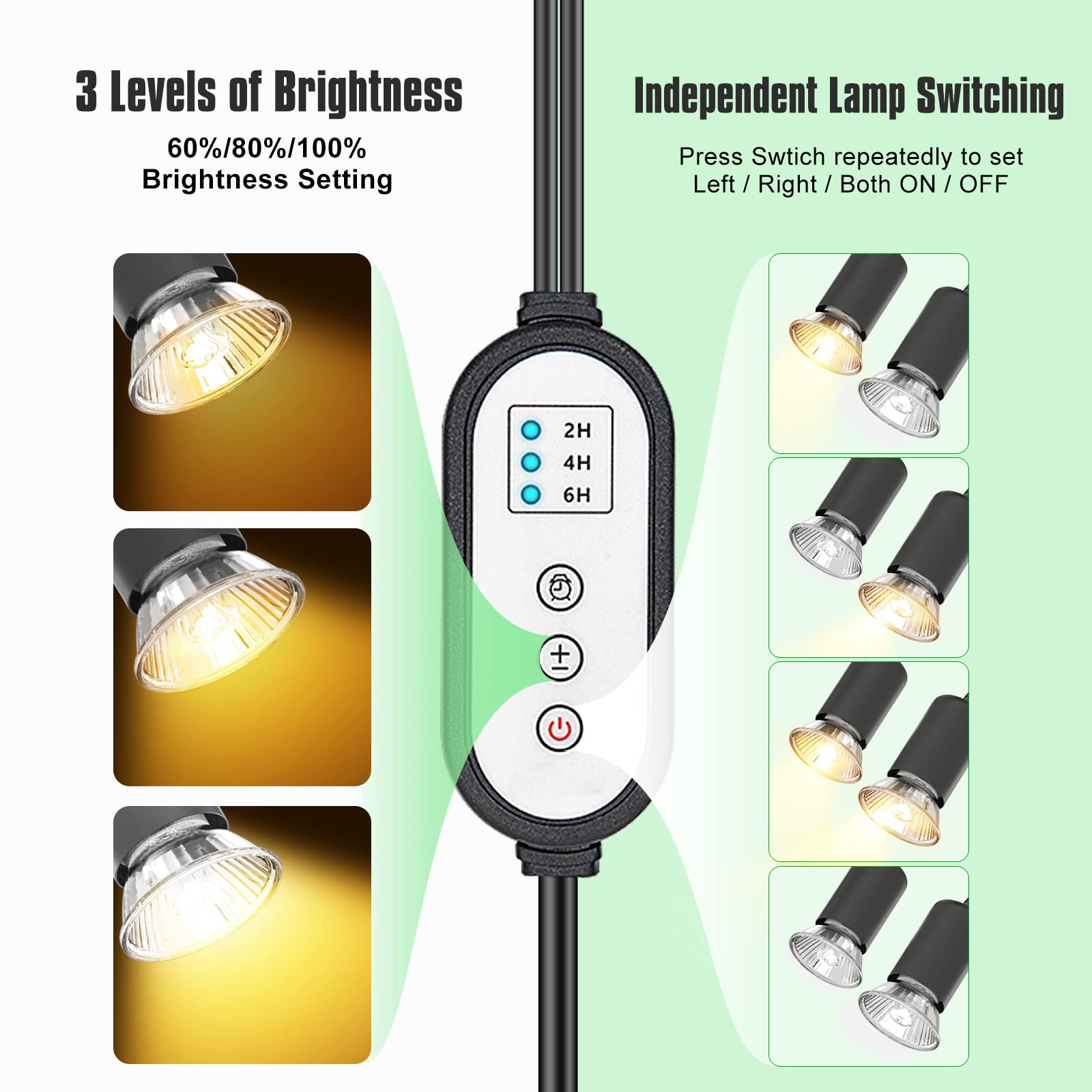 DTZY UVA/UVB lighting supports natural basking and calcium uptake