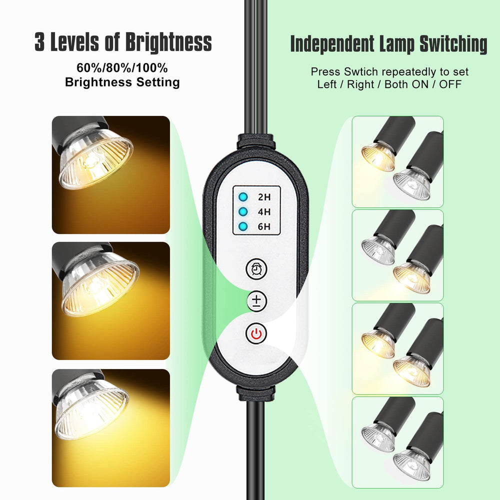 DTZY UVA/UVB lighting supports natural basking and calcium uptake