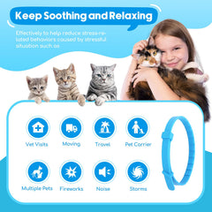 Duasdne Calming Collar blue pack packaging highlights portable, long-lasting calming support.