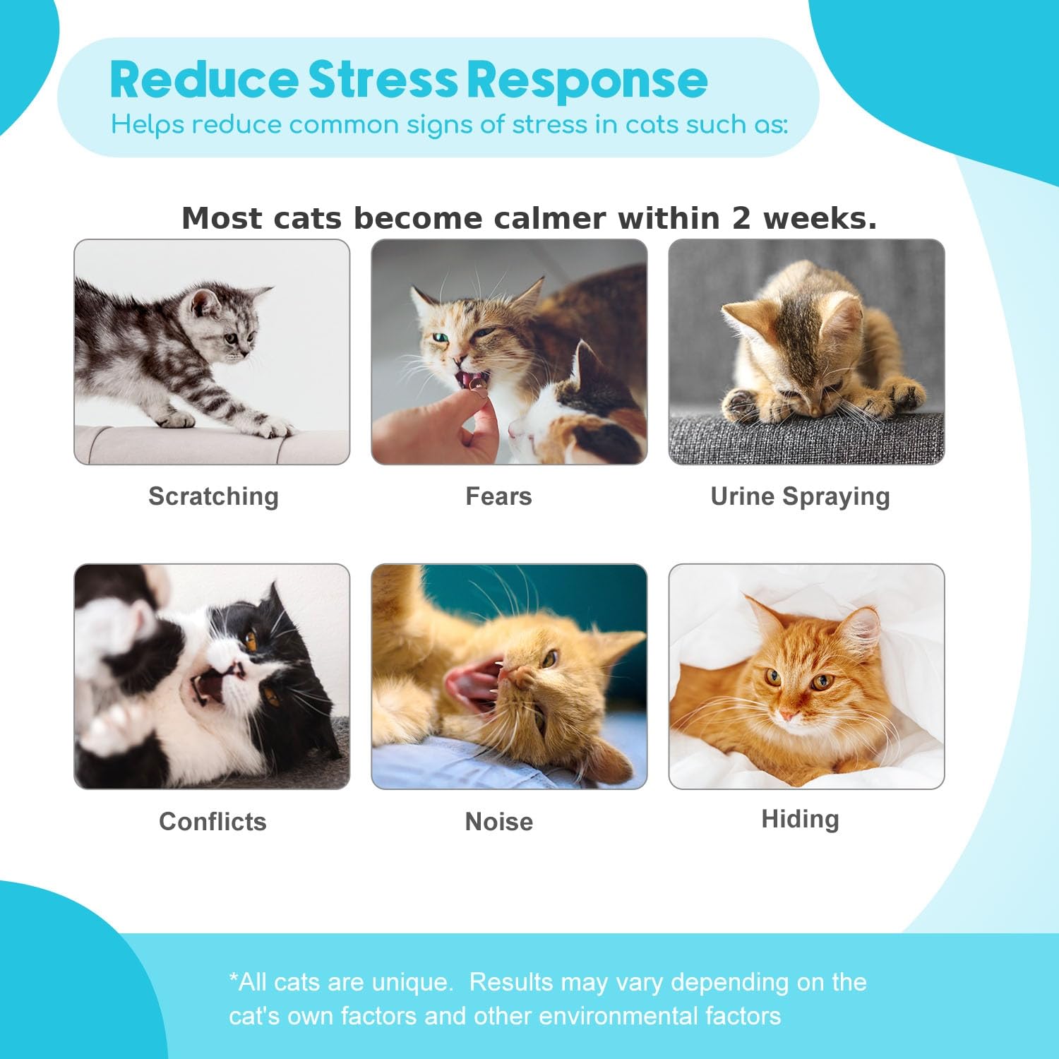 Duasdne diffuser refills pack ready for up to 30 days of pheromone release