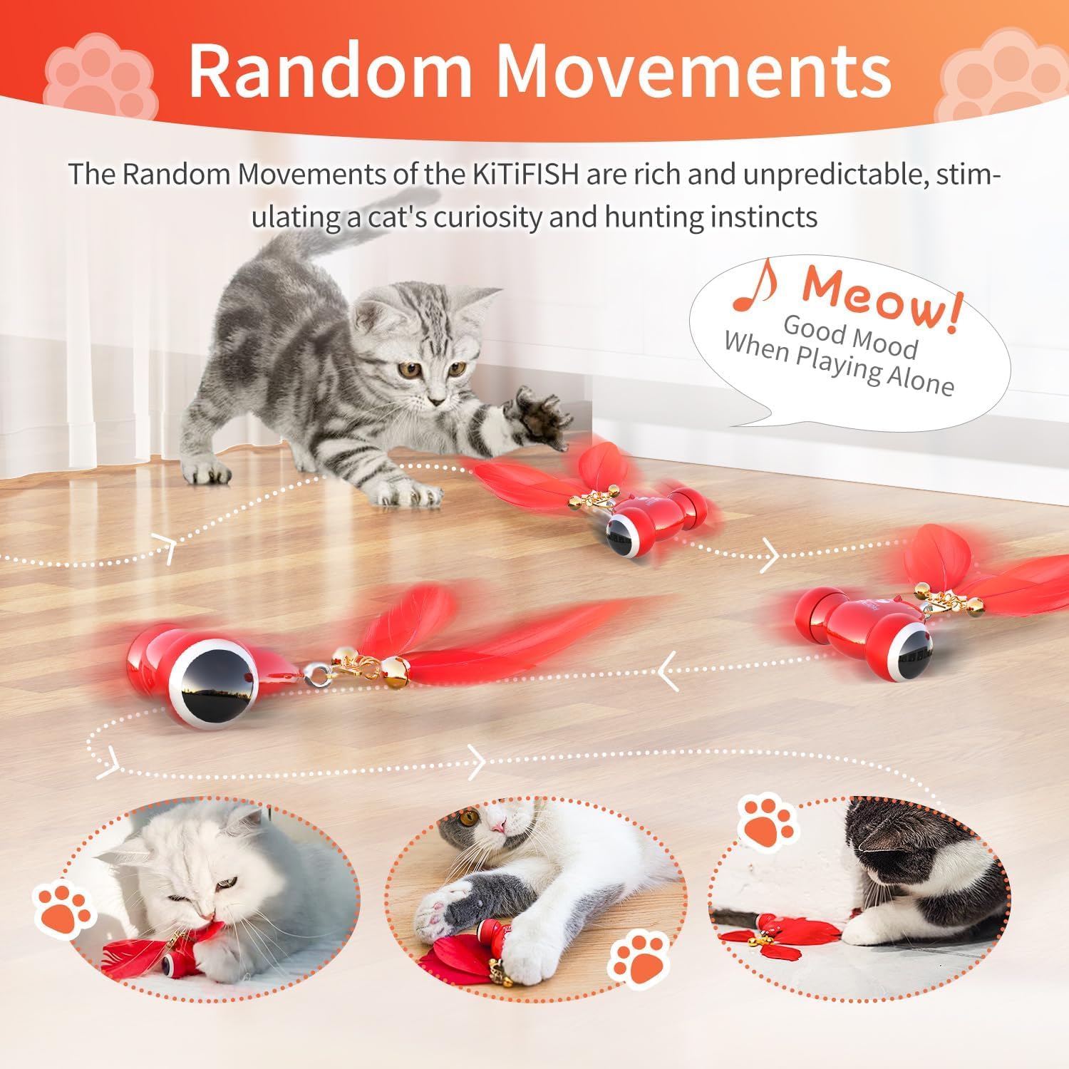Duasdne Kitifish gift box ready packaging for cat lovers
