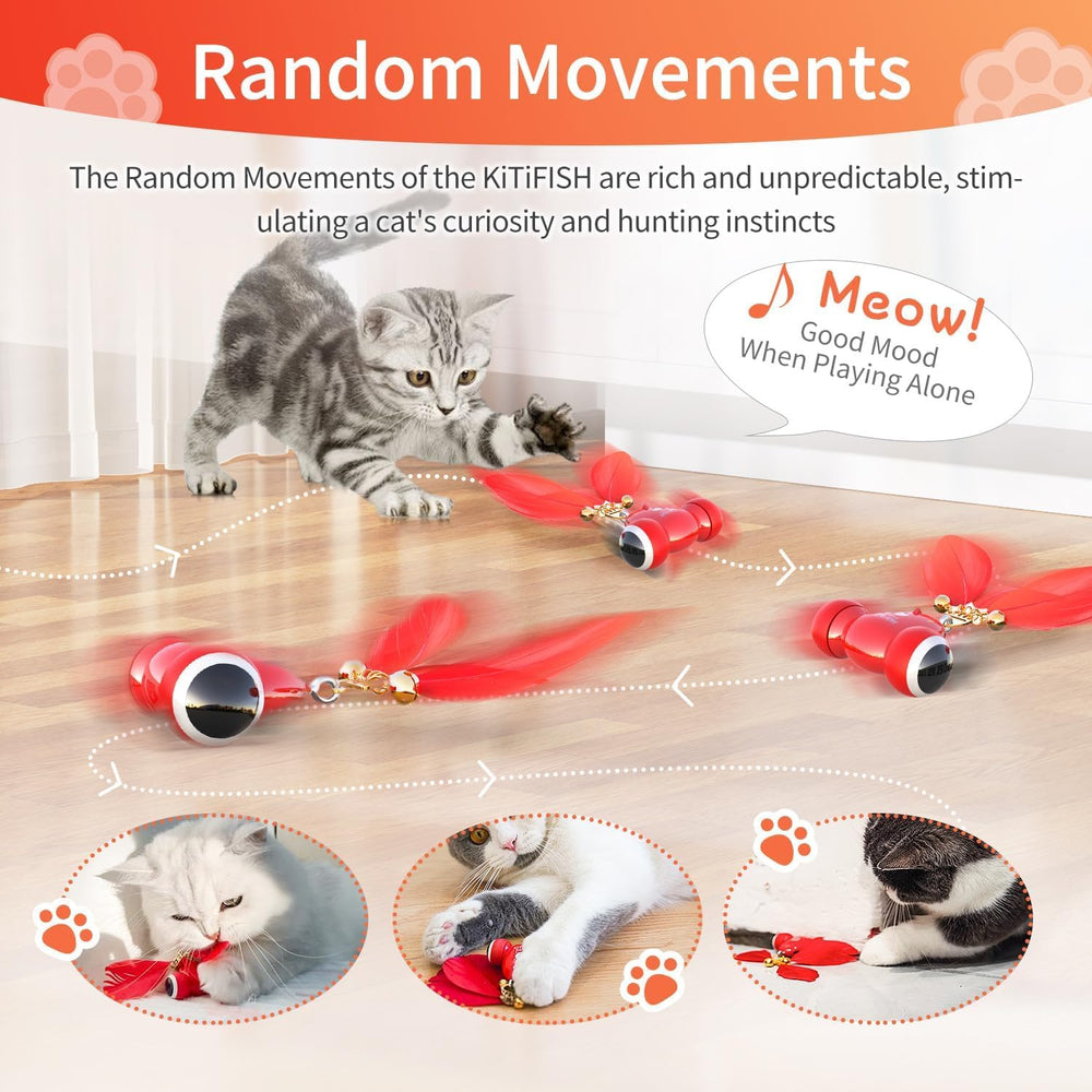 Duasdne Kitifish gift box ready packaging for cat lovers