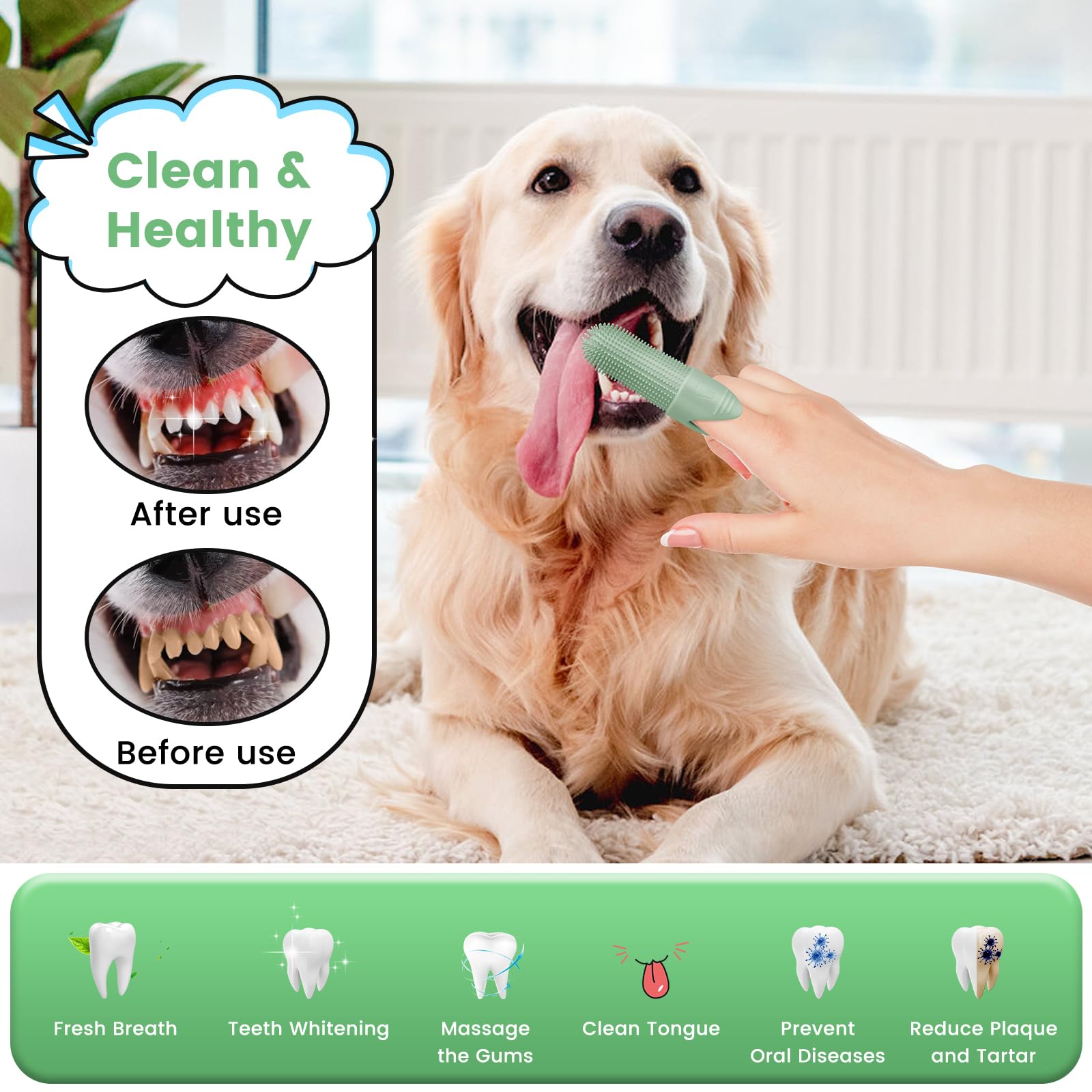 Duckart dog toothbrush with soft bristles for gentle gum cleaning