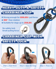 Duckygoo elastic 10ft lead offers smooth, flexible reach during outdoor runs.