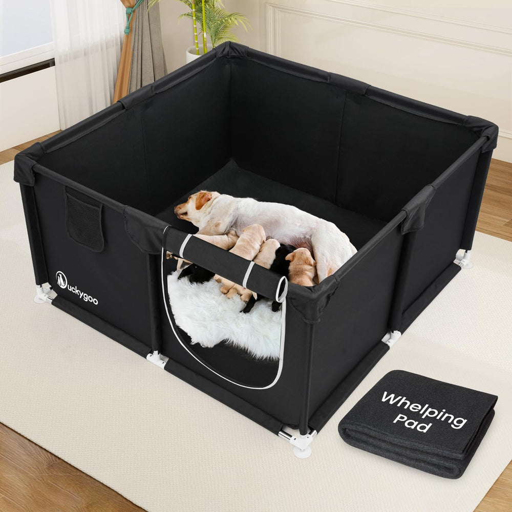 Duckygoo whelping box assembly demonstrates sturdy frame for safe birthing space