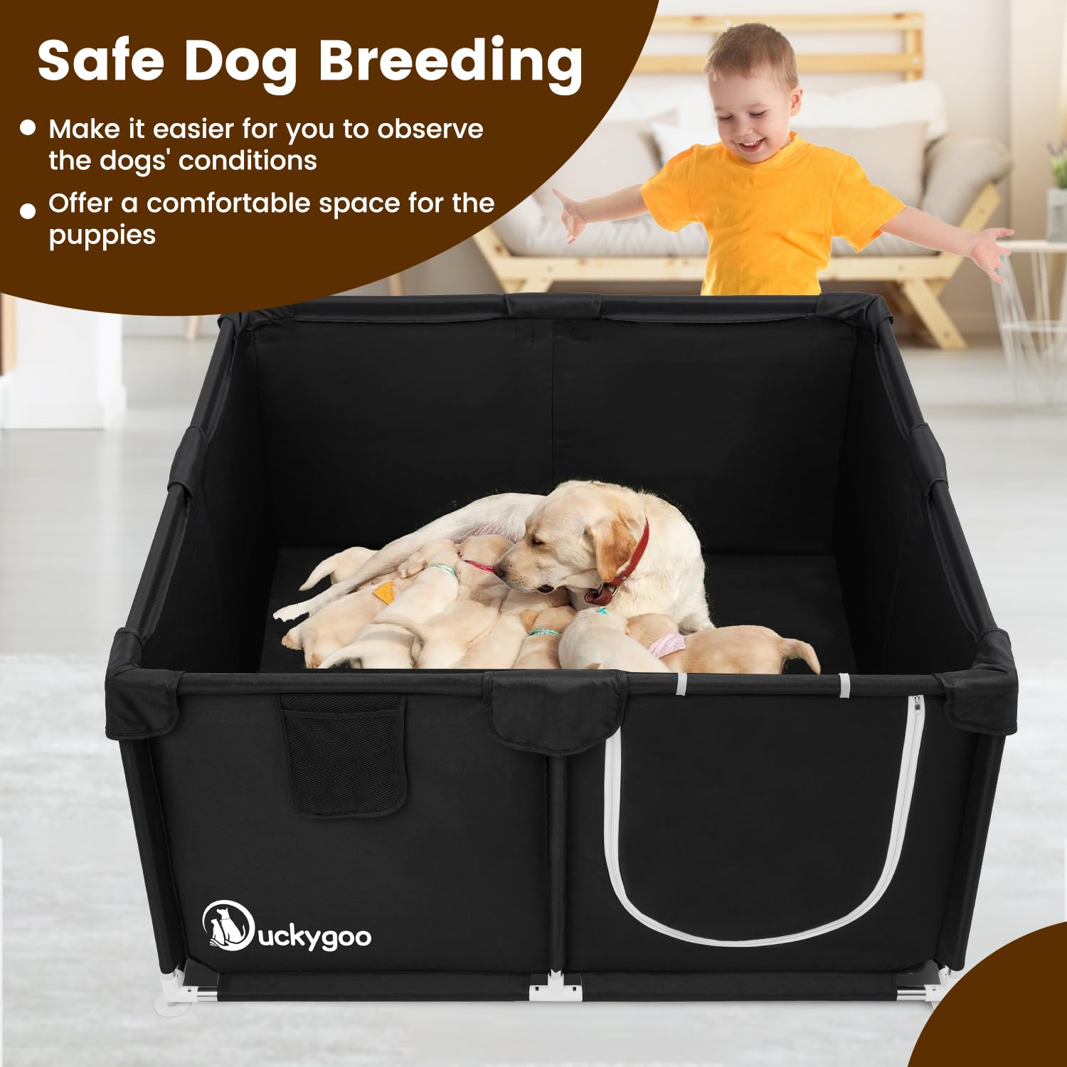 Duckygoo whelping box spacious 50x50 space for litter and mother