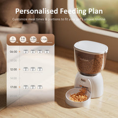 DUDUPET programmable feeding shows 1–6 meals per day for tailored routines.