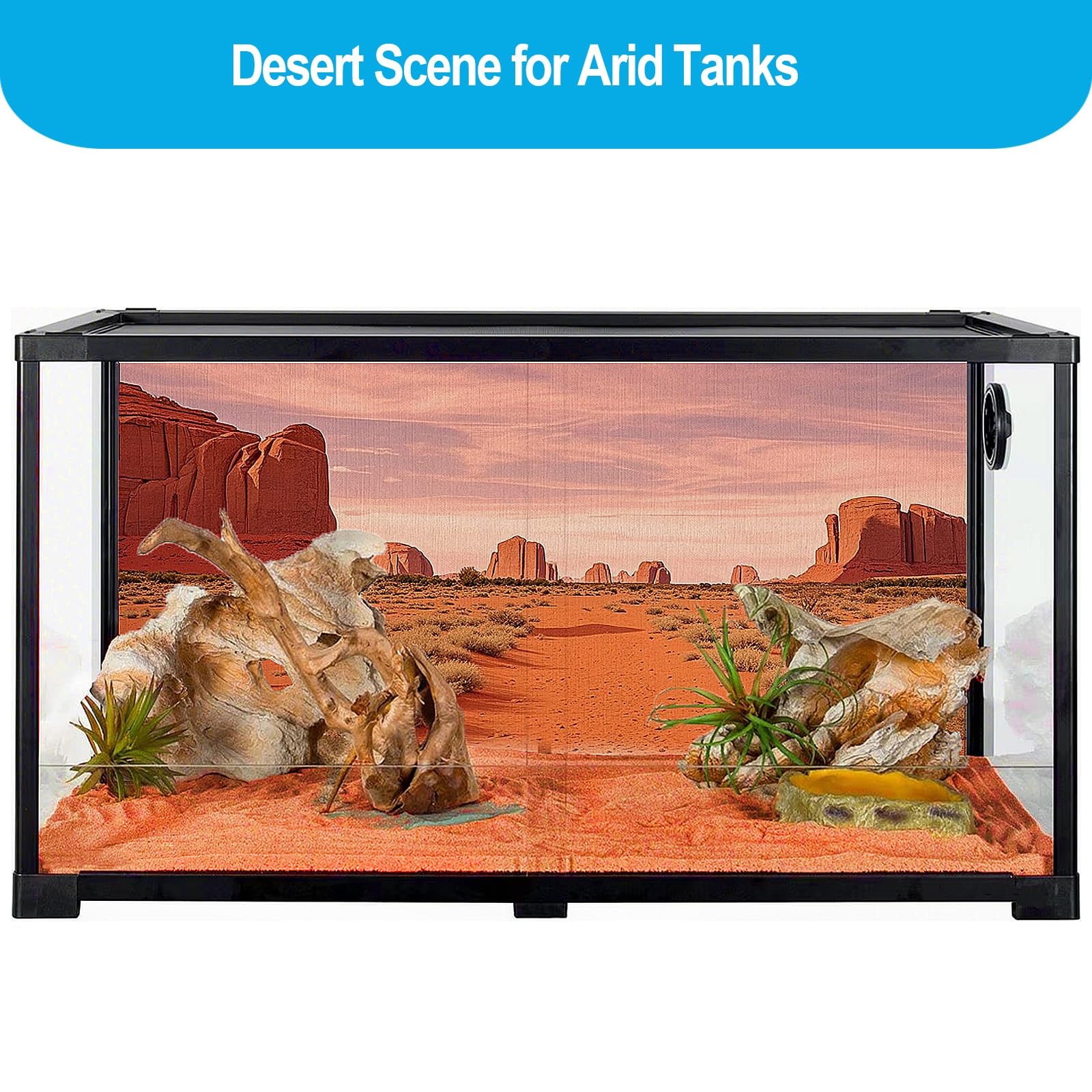 Duedusto turtle tank background showcases aquatic-friendly scenery for better tank ambiance.