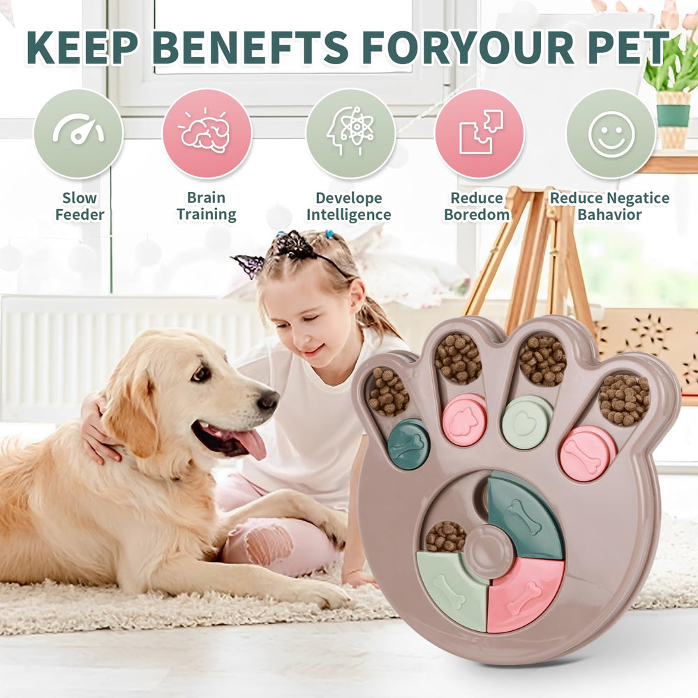 DuiDuiQ slow-feeder bowl promotes paced eating and digestive comfort during mealtime