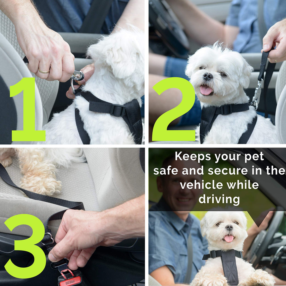 Duke and Dixie heavy-duty nylon strap supports large dogs on road trips.