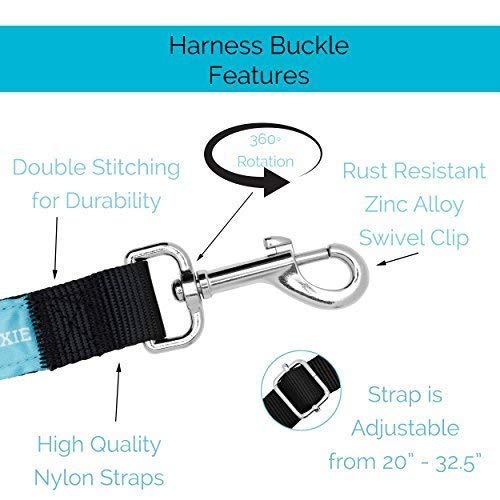 Duke and Dixie pet safety tether creates calm car rides.