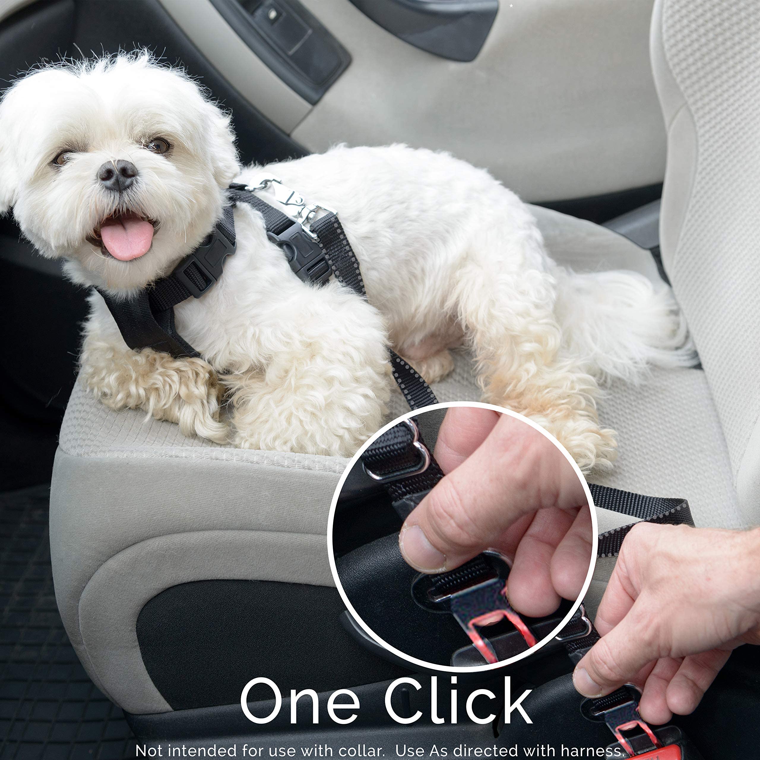 Duke and Dixie adjustable-length seat belt 20-32 inches for versatile fit.