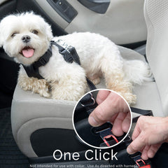 Duke and Dixie adjustable-length seat belt 20-32 inches for versatile fit.