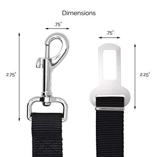 Duke and Dixie two-pack offers value for multiple vehicles.