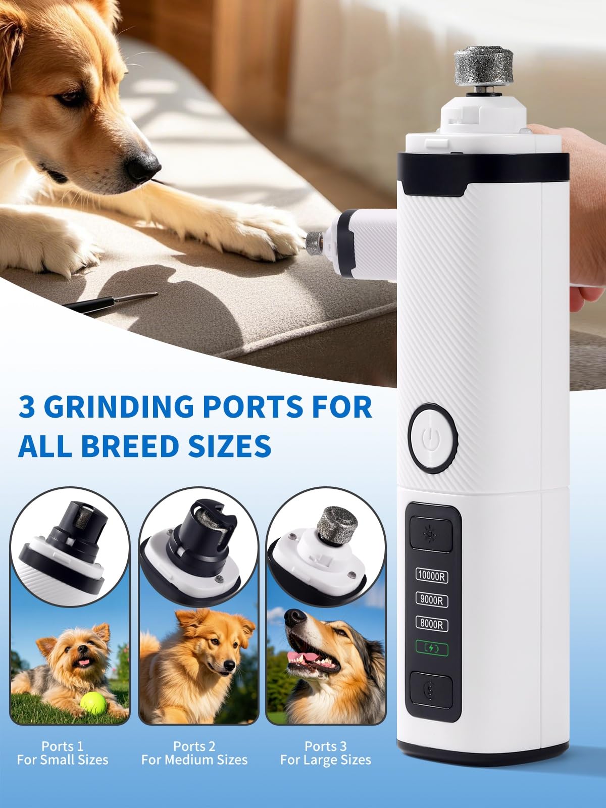 Dukuueie grinder with 3-speed control for versatile grooming across sizes
