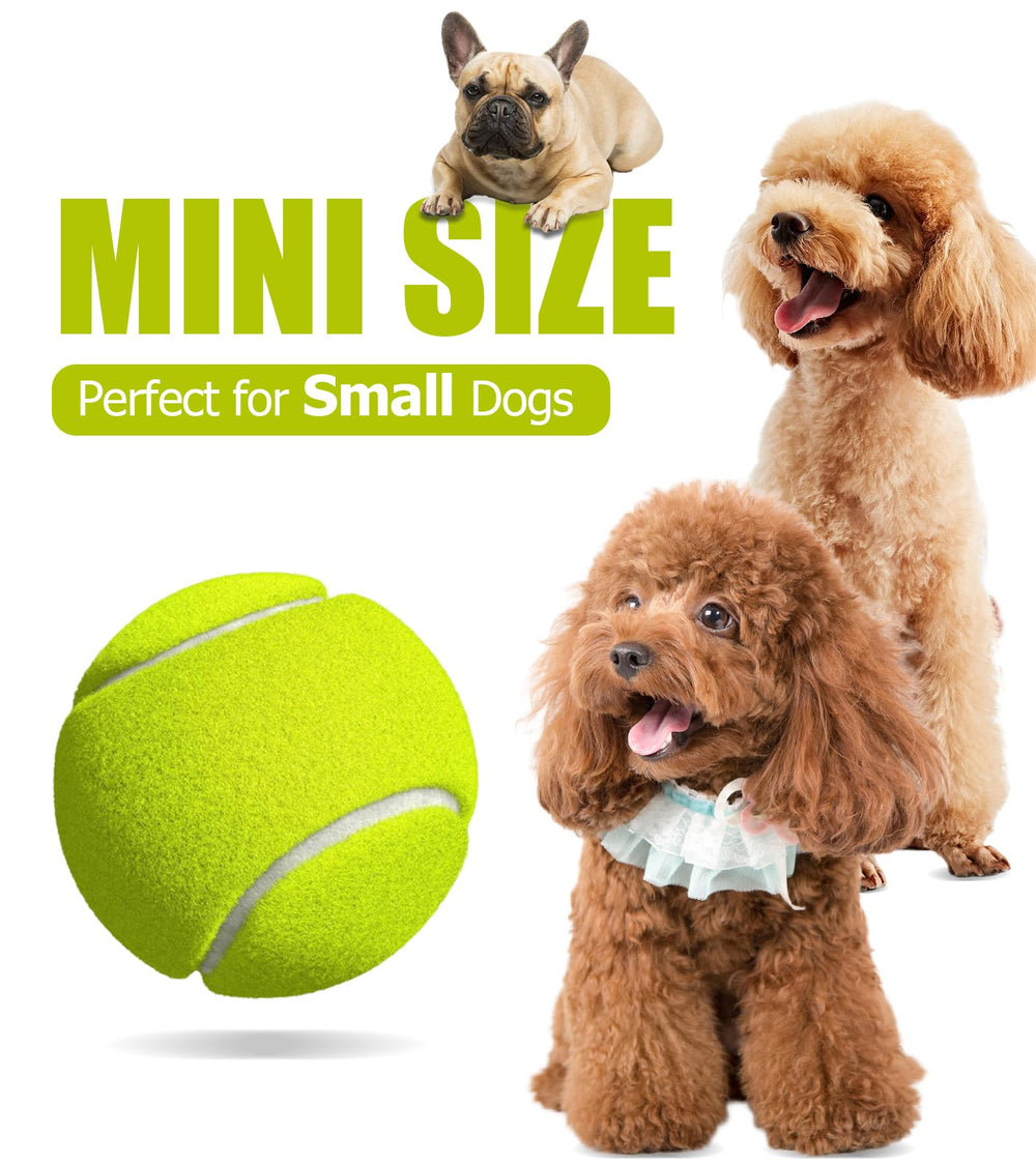 Dukuueie durable dog tennis ball bouncing during play.