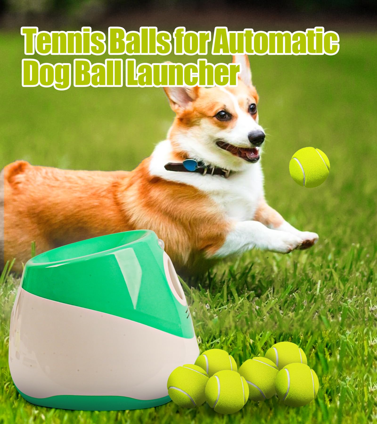 Dukuueie fifteen-pack dog tennis balls for versatile play.