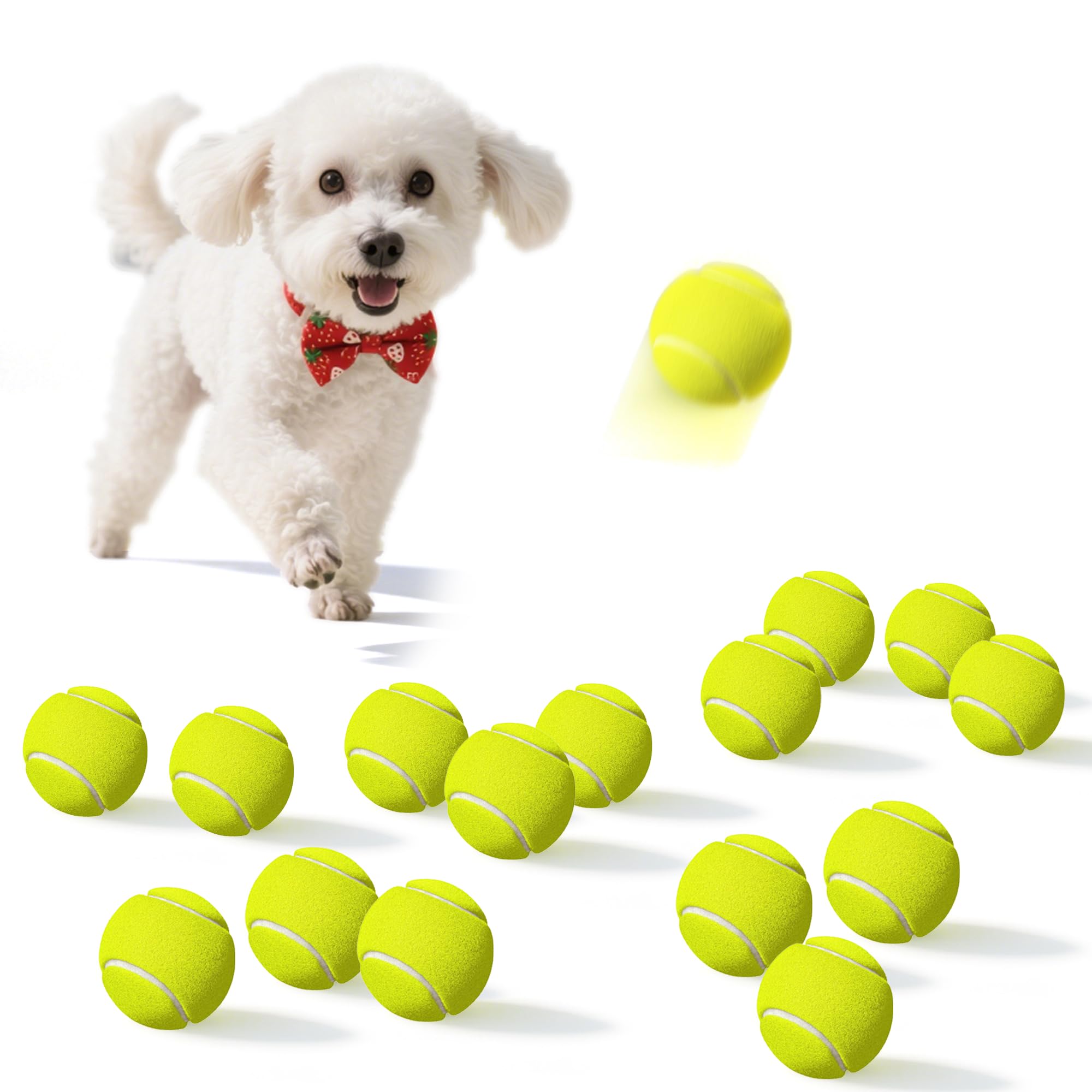 Dukuueie small dog tennis ball ready for backyard fetch.