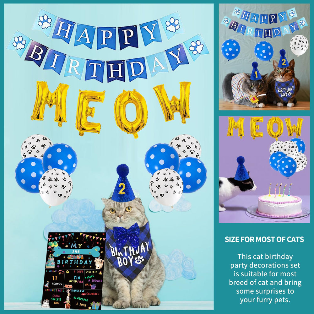 duludulu birthday poster captures memories with a personalized touch