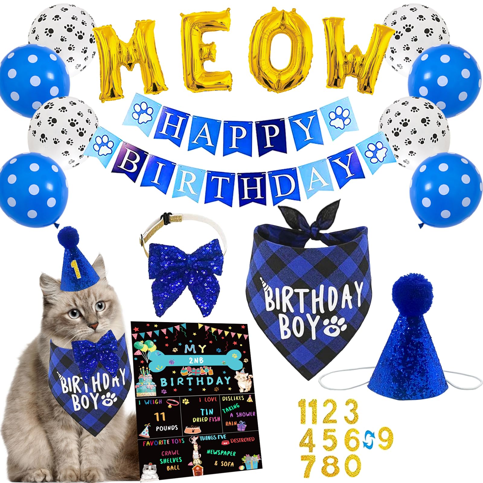 duludulu cat birthday bandana with Birthday Boy for a comfy photo moment