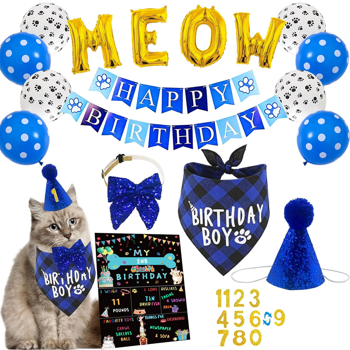 duludulu cat birthday bandana with Birthday Boy for a comfy photo moment