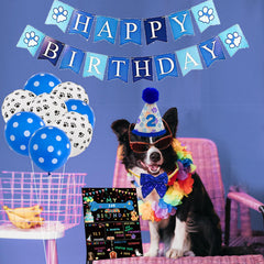 duludulu dog birthday bandana styled with sequins for photo-ready looks