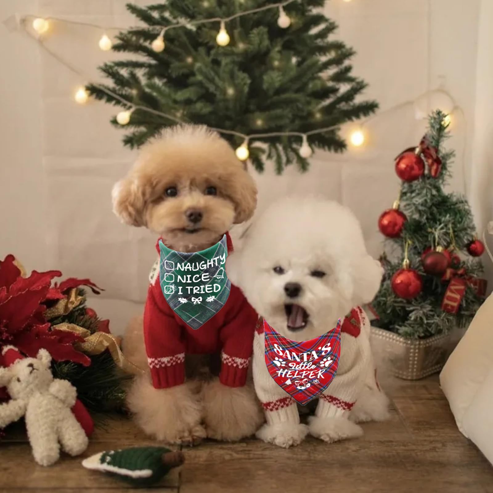 duludulu Christmas bandana in family photo for festive gatherings.