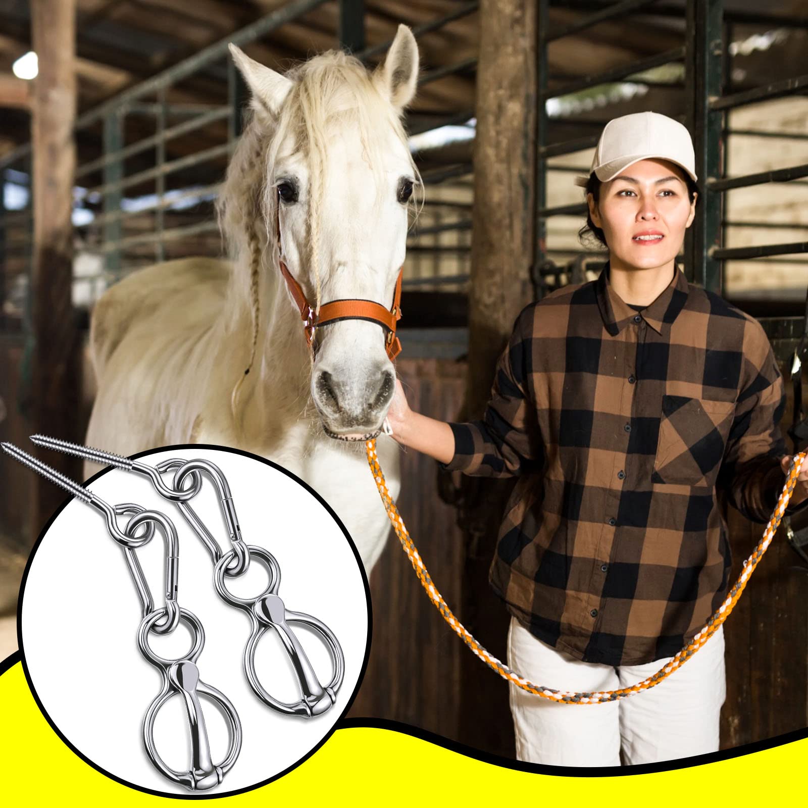 Dunzy gift-ready packaging suggesting a thoughtful present for horse enthusiasts