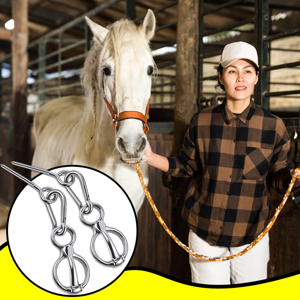 Dunzy gift-ready packaging suggesting a thoughtful present for horse enthusiasts