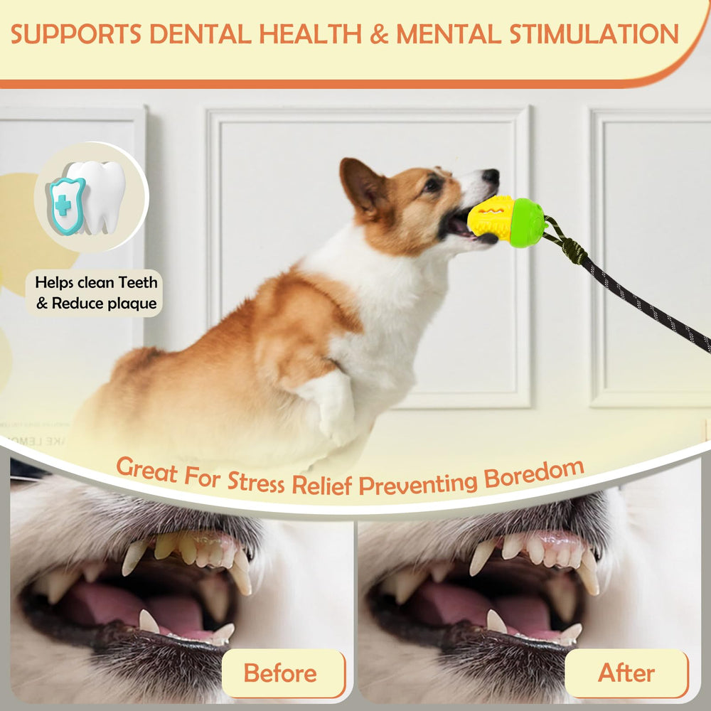 Duocharm stress-relief bonding play image illustrating solo play and human interaction.