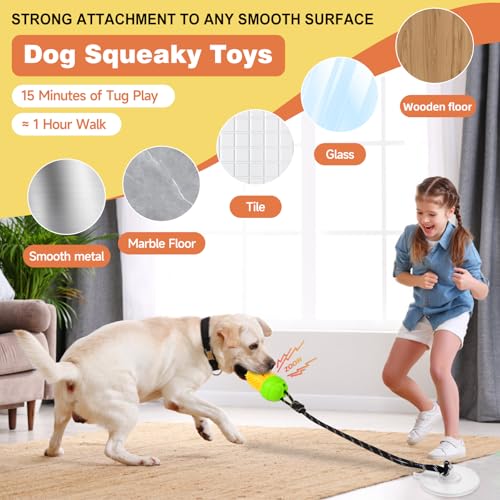 Duocharm treat-dispensing puzzle dog toy ready for snack rewards and problem solving.