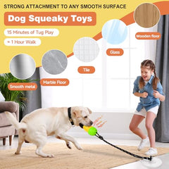 Duocharm treat-dispensing puzzle dog toy ready for snack rewards and problem solving.