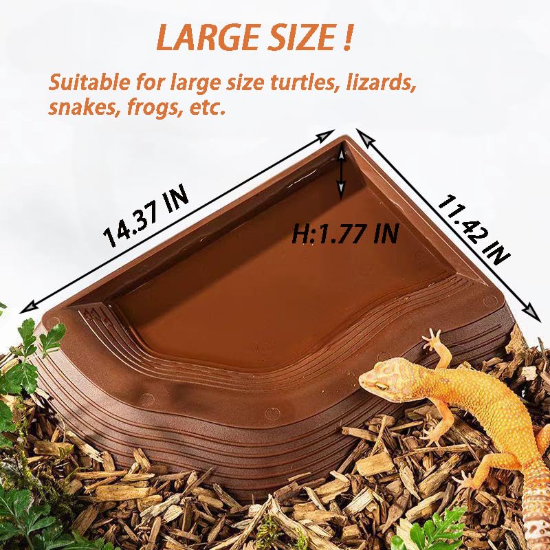DUOYUZHIYU bearded dragon water bowl hydration near basking area.
