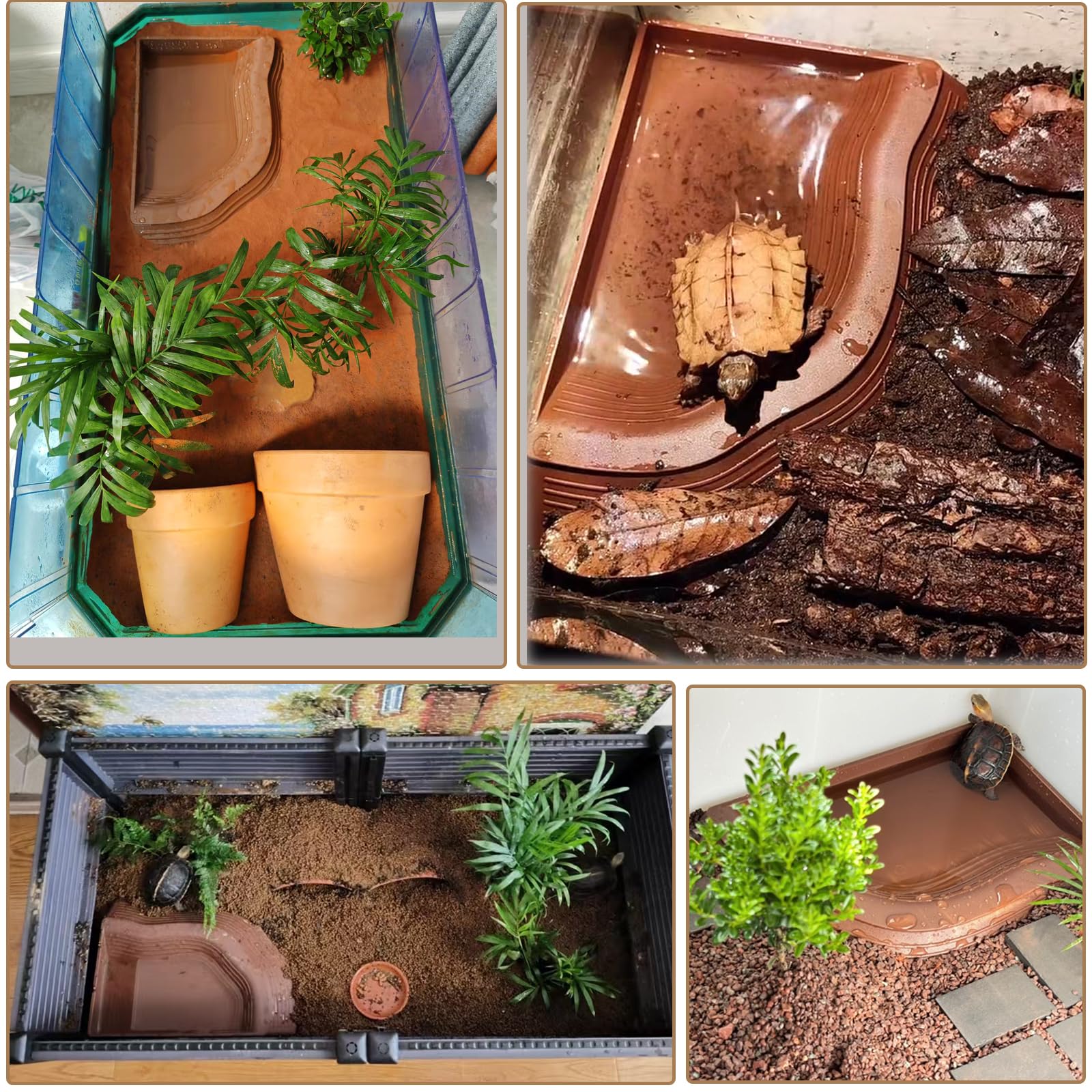 DUOYUZHIYU gecko feeding dish anti-slip ramp for safe entry and exit.