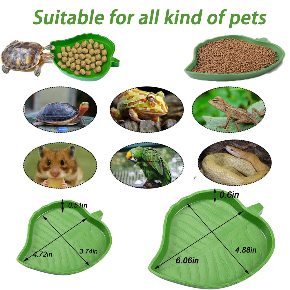 DUOYUZHIYU versatile reptile bath, food, and water bowl in one set.