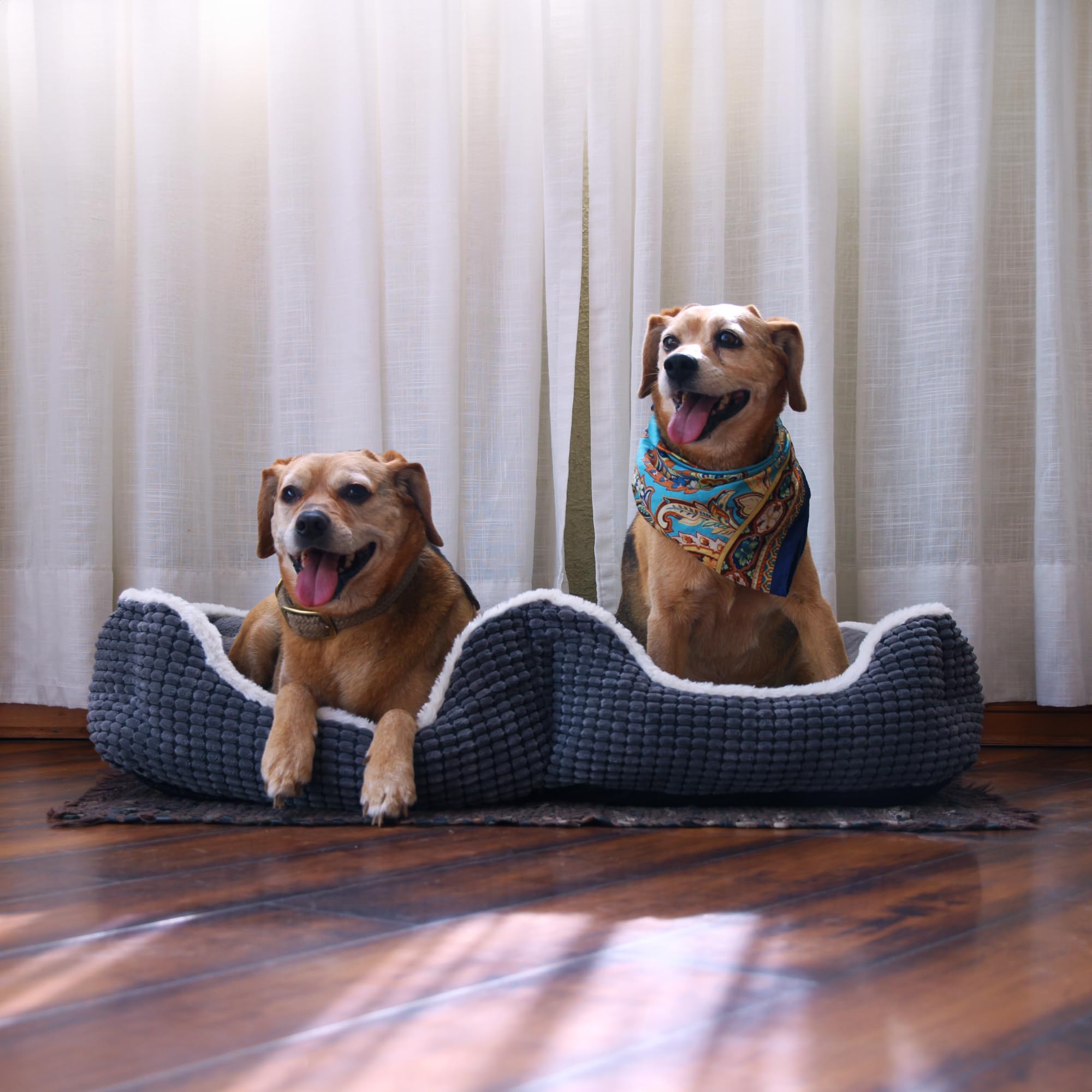 Dupligee bigger double bed unpacks to reveal extra room for pets.
