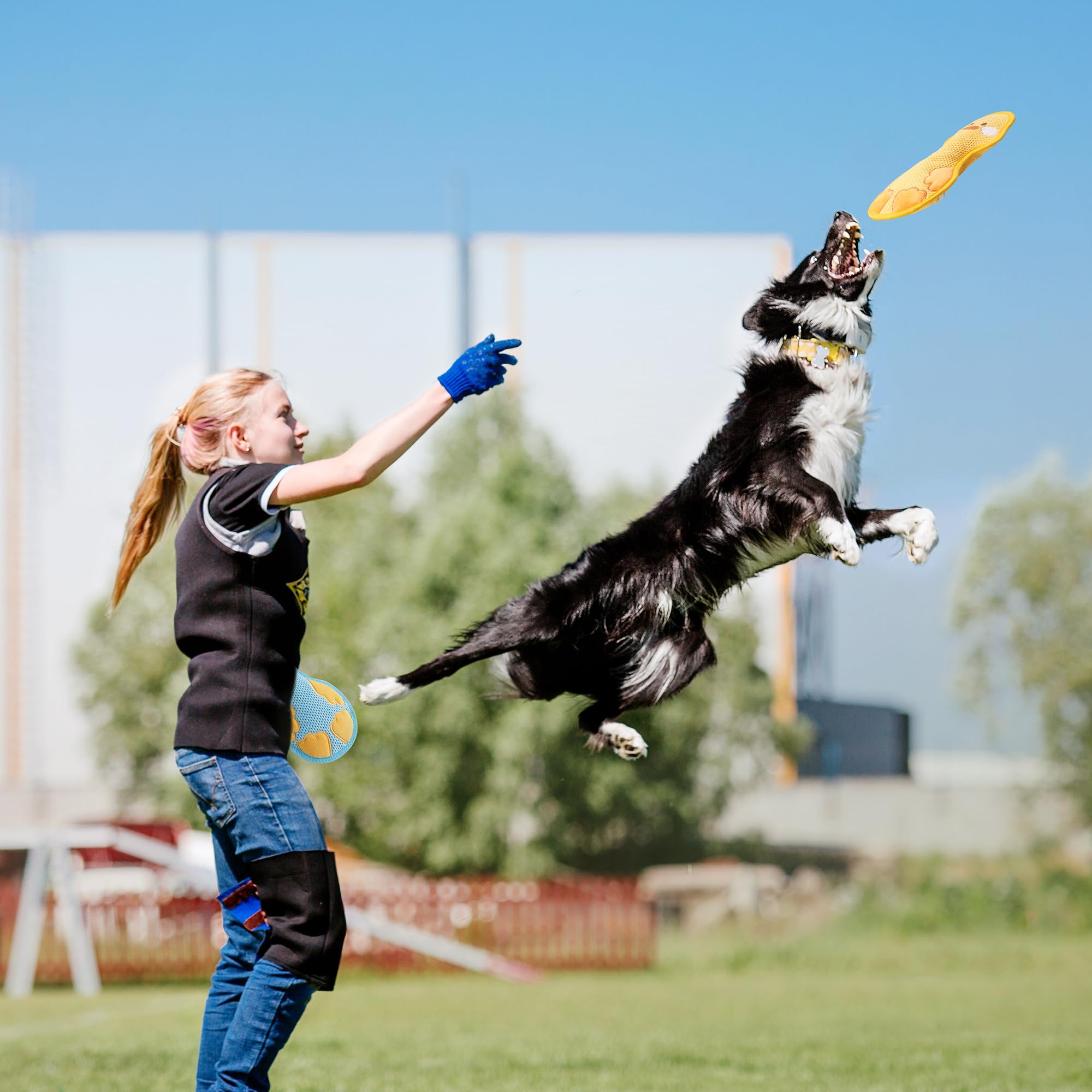 DURABITE duck squeaky toy yellow dog-interaction view showing bonding tug training benefits