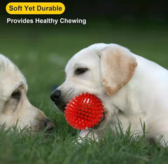 Durable-squeaky-dog-balls grain-texture-design massages gums while chewing.